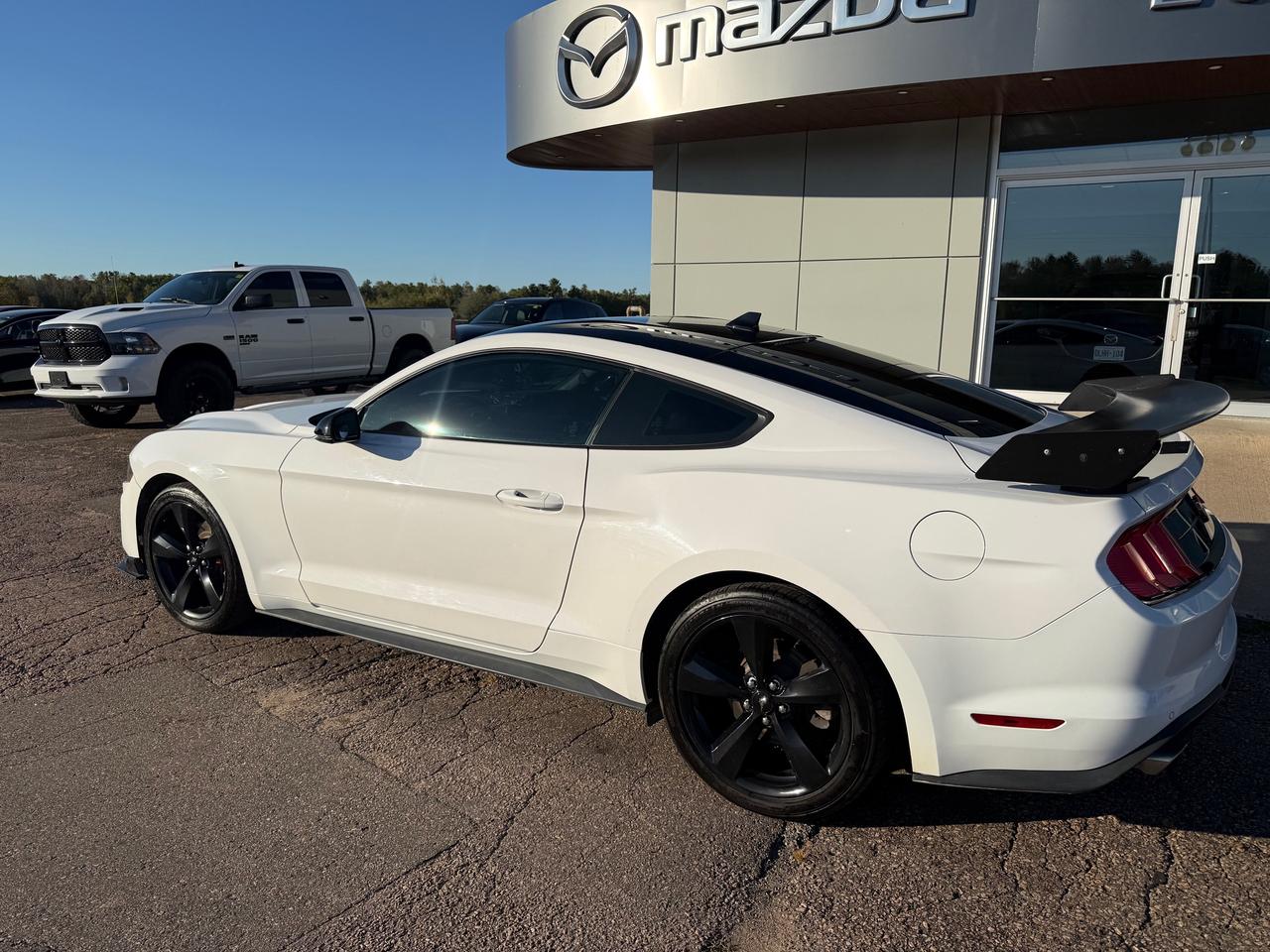 2021 Ford Mustang EcoBoost Premium 2dr Fastback Photo