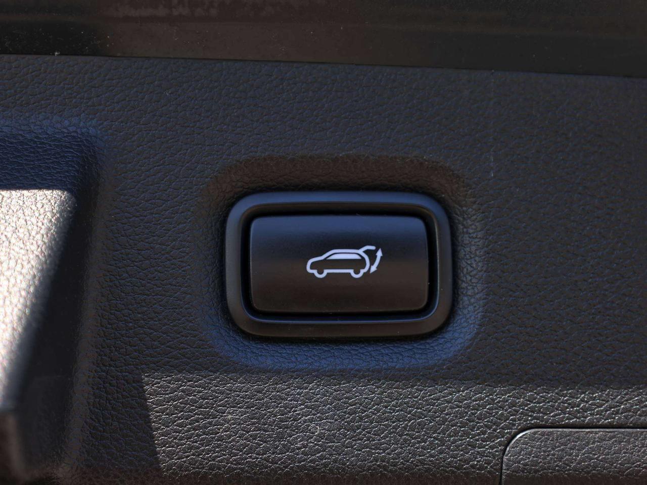 2020 Hyundai Santa Fe Luxury   Pano Roof   Pwr Liftgate   Cooled Seat Photo