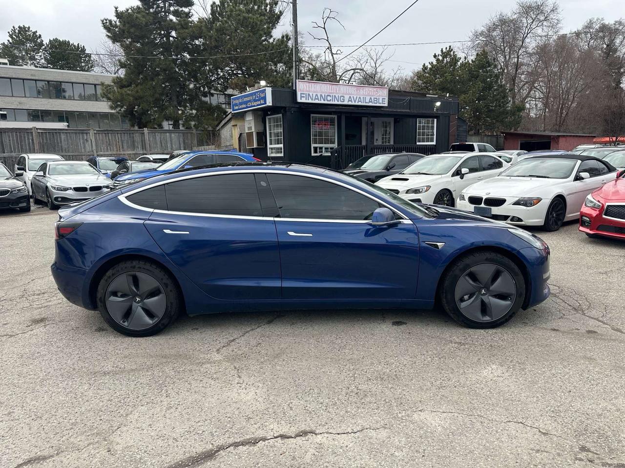 2019 Tesla Model 3 Standard Range Photo