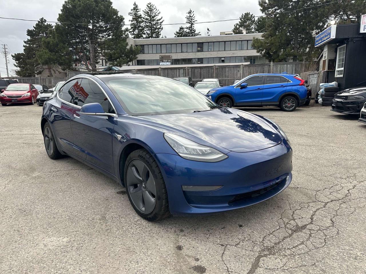2019 Tesla Model 3 Standard Range Photo