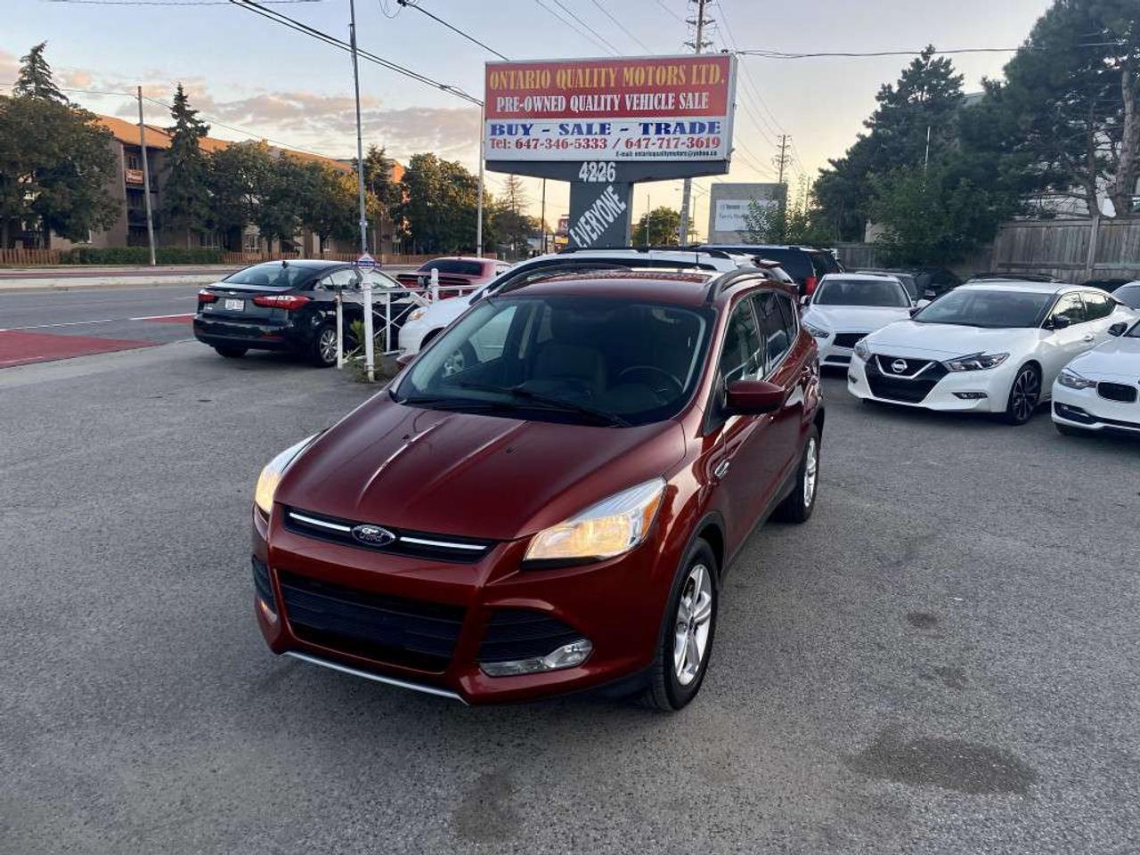 2014 Ford Escape FWD 4dr SE Photo