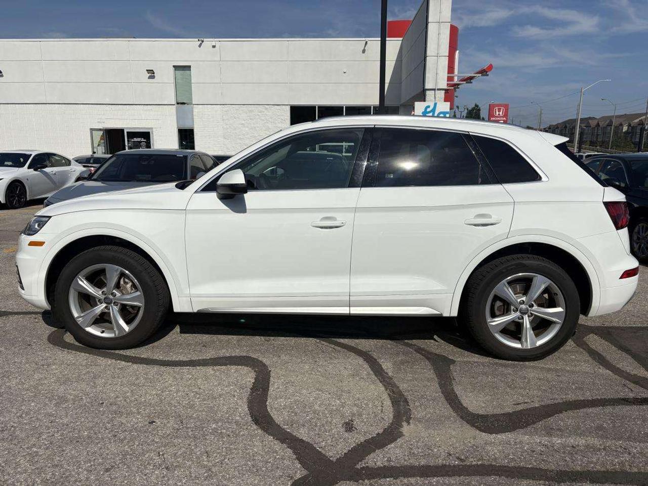 2019 Audi Q5 PROGRESSIV Photo