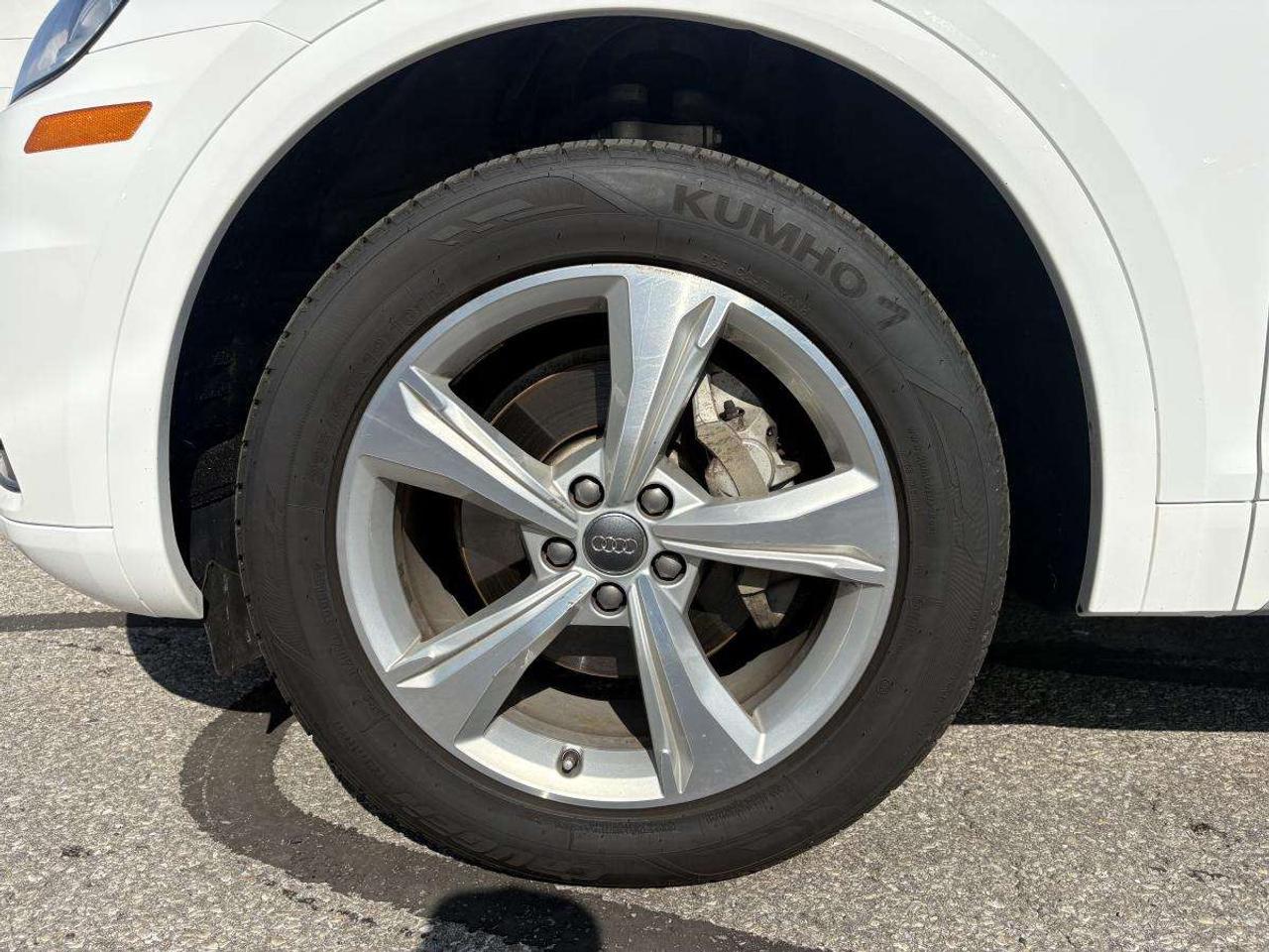 2019 Audi Q5 PROGRESSIV Photo