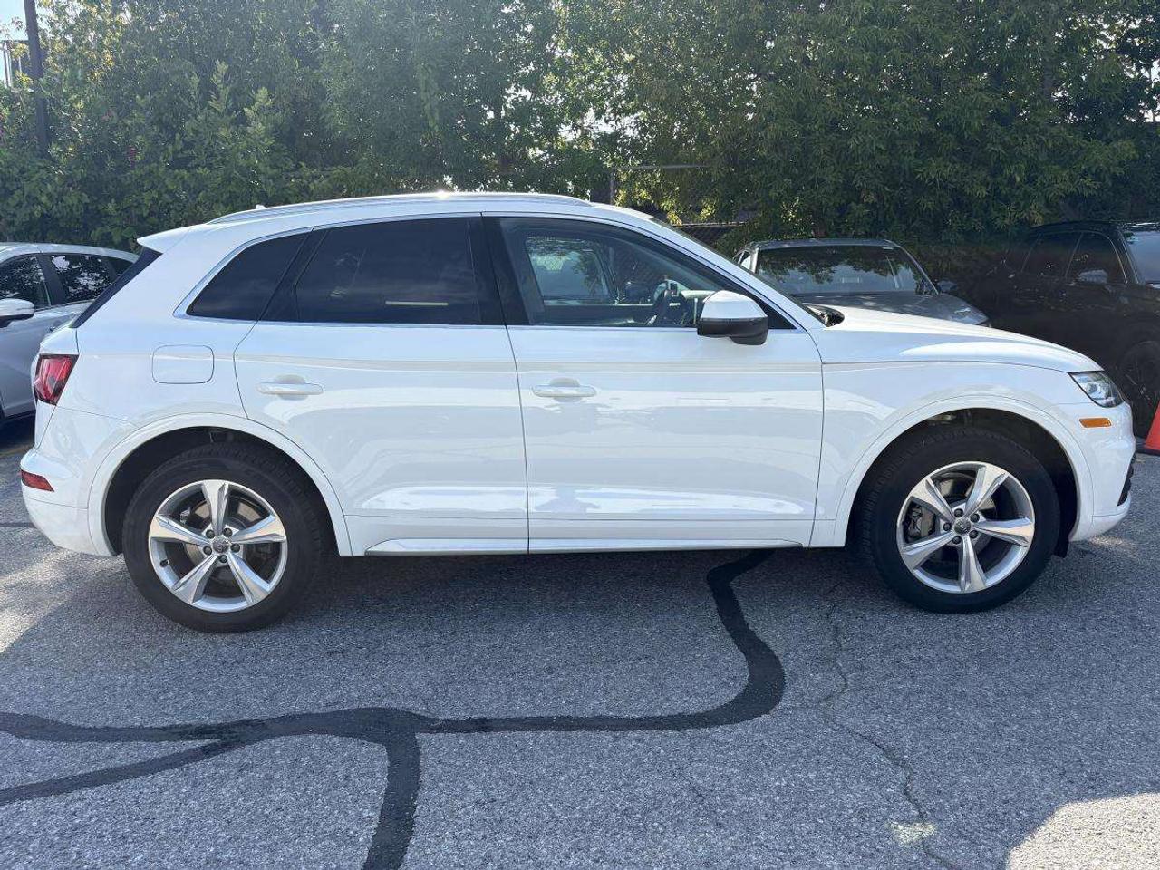 2019 Audi Q5 PROGRESSIV Photo