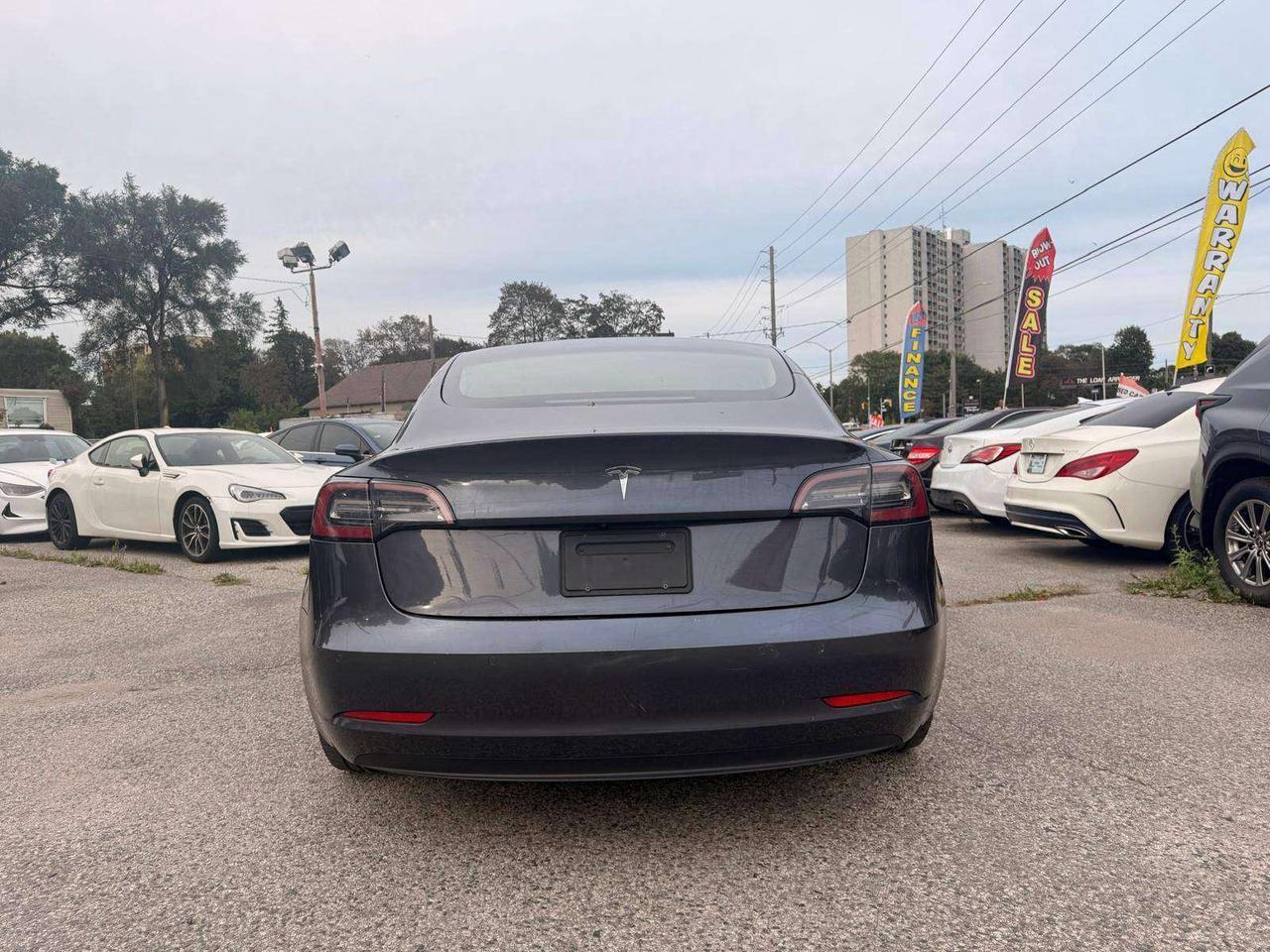 2021 Tesla Model 3 Standard Range Plus RWD Photo