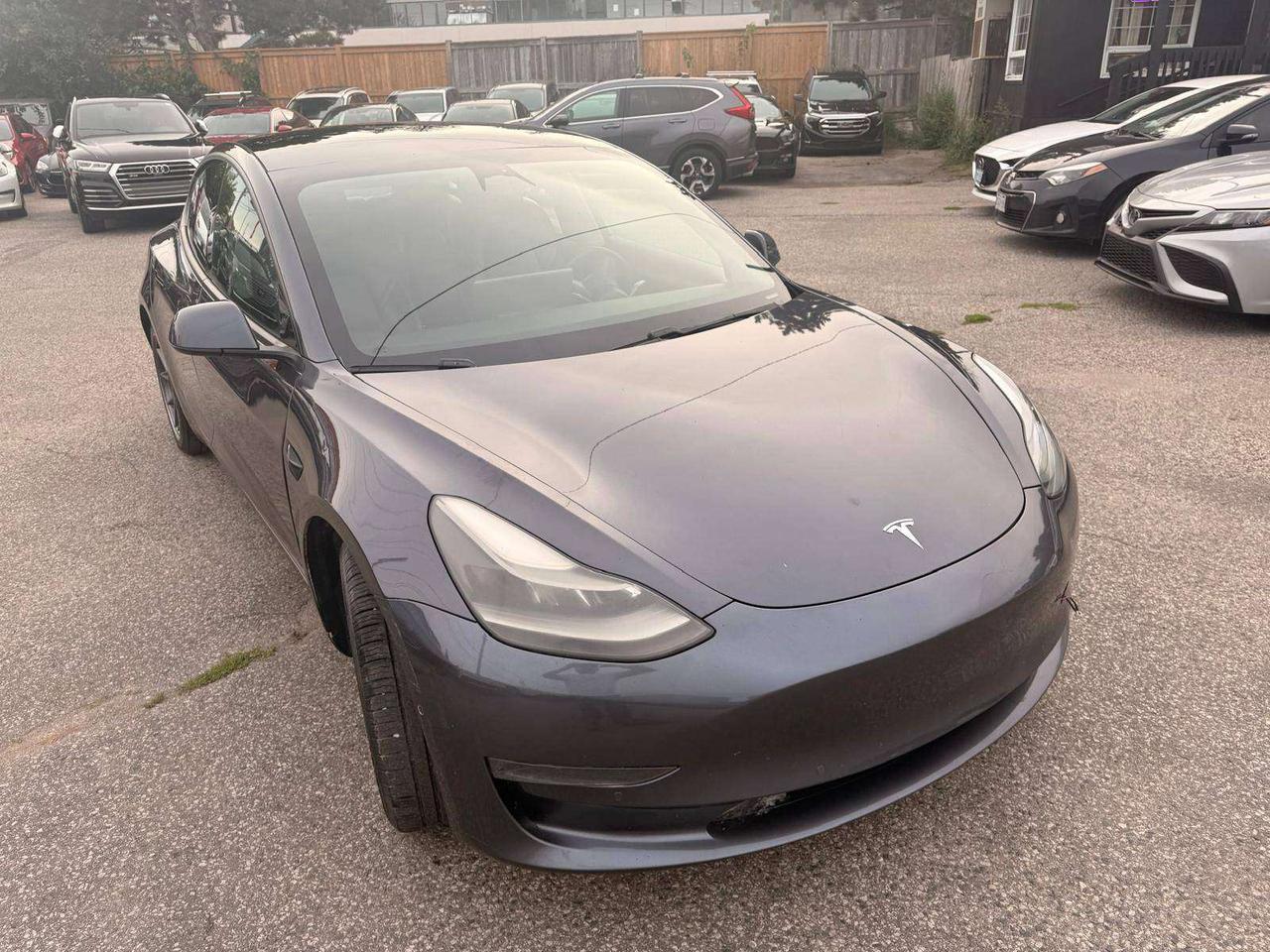 2021 Tesla Model 3 Standard Range Plus RWD Photo
