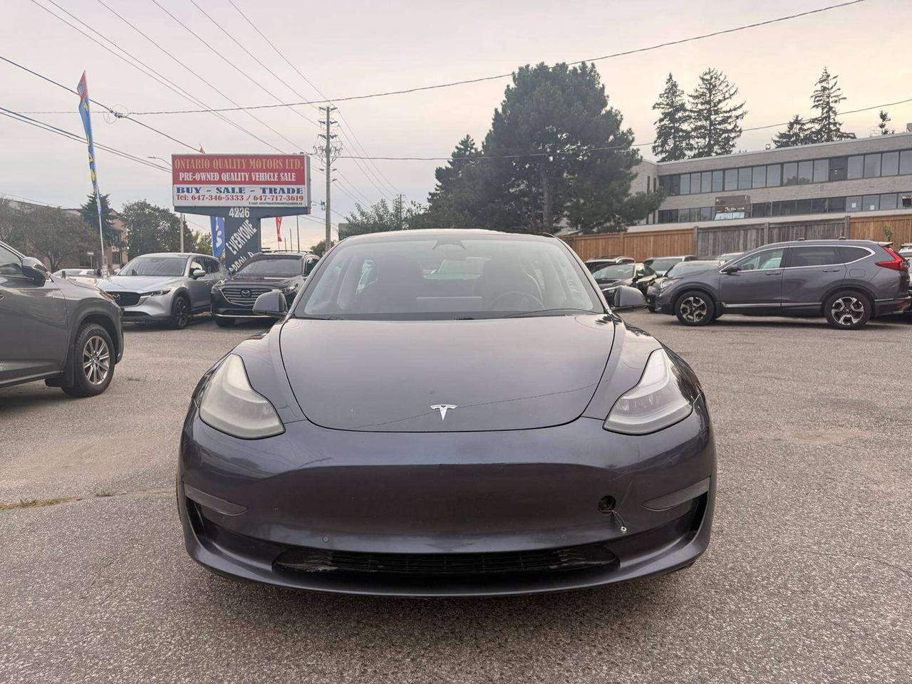 2021 Tesla Model 3 Standard Range Plus RWD Photo