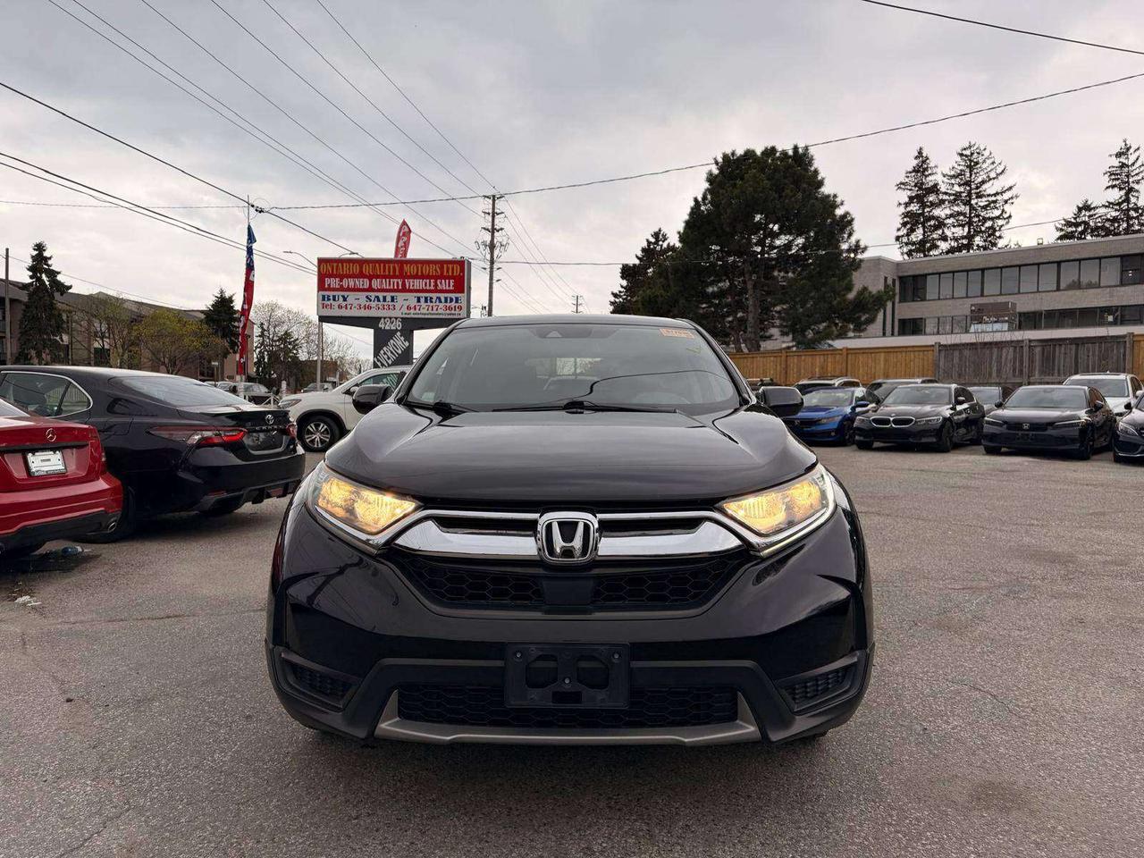 2019 Honda CR-V LX AWD Photo