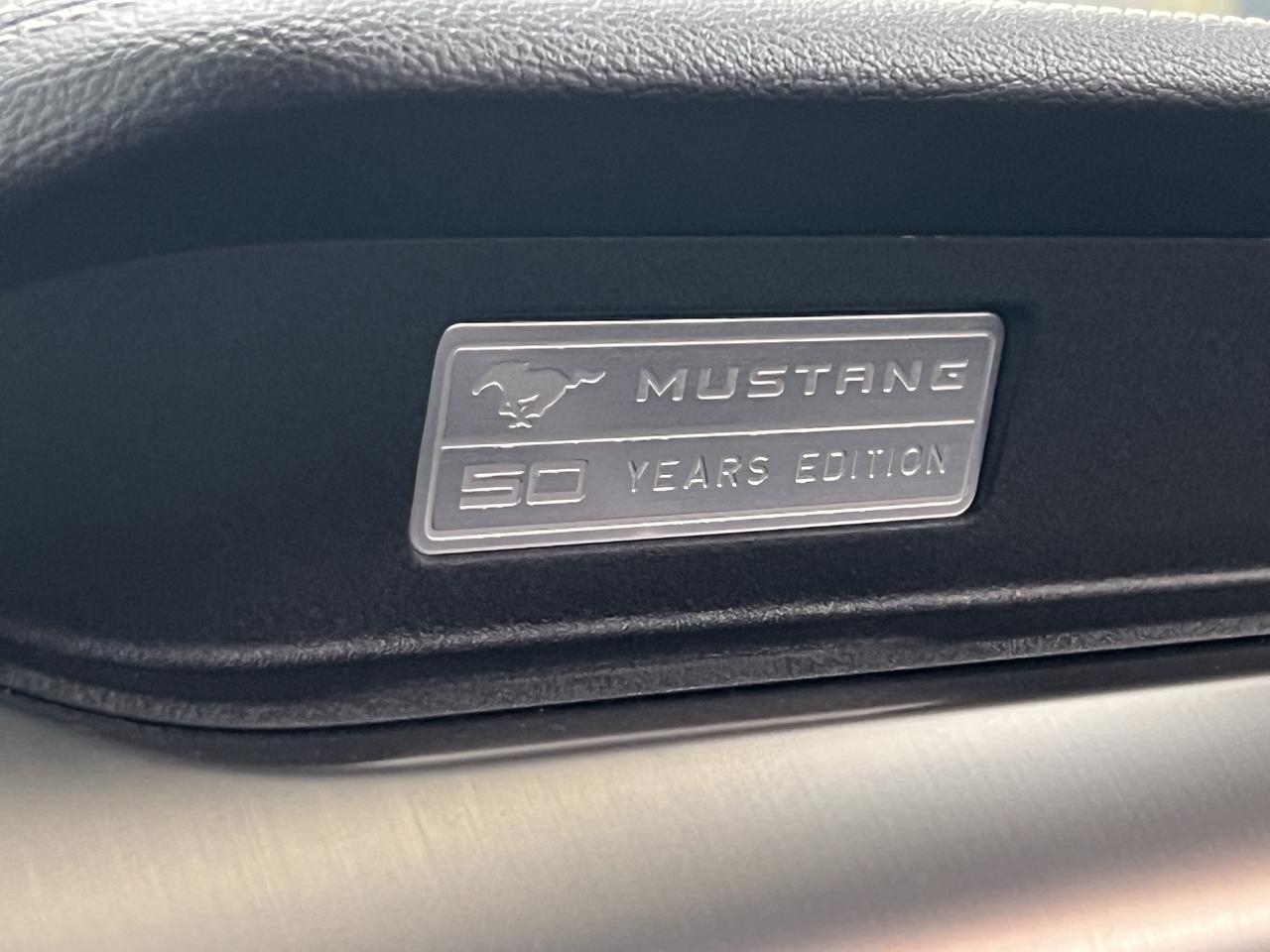 2015 Ford Mustang EcoBoost Photo