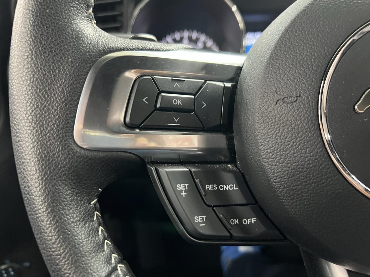 2015 Ford Mustang EcoBoost Photo