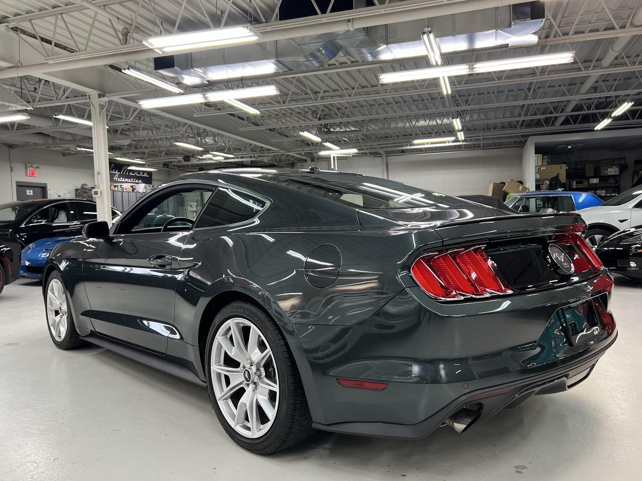 2015 Ford Mustang EcoBoost Photo