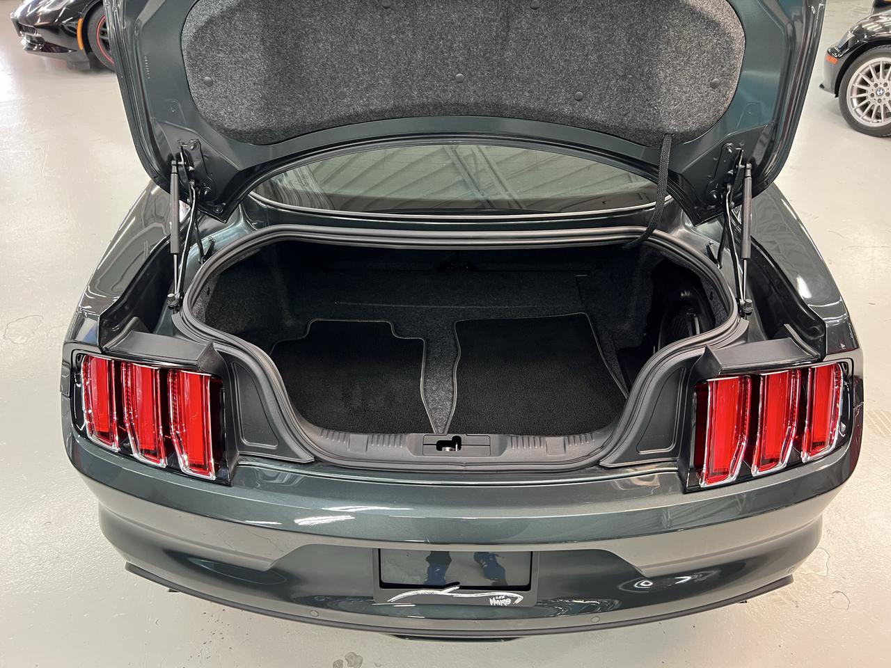 2015 Ford Mustang EcoBoost Photo