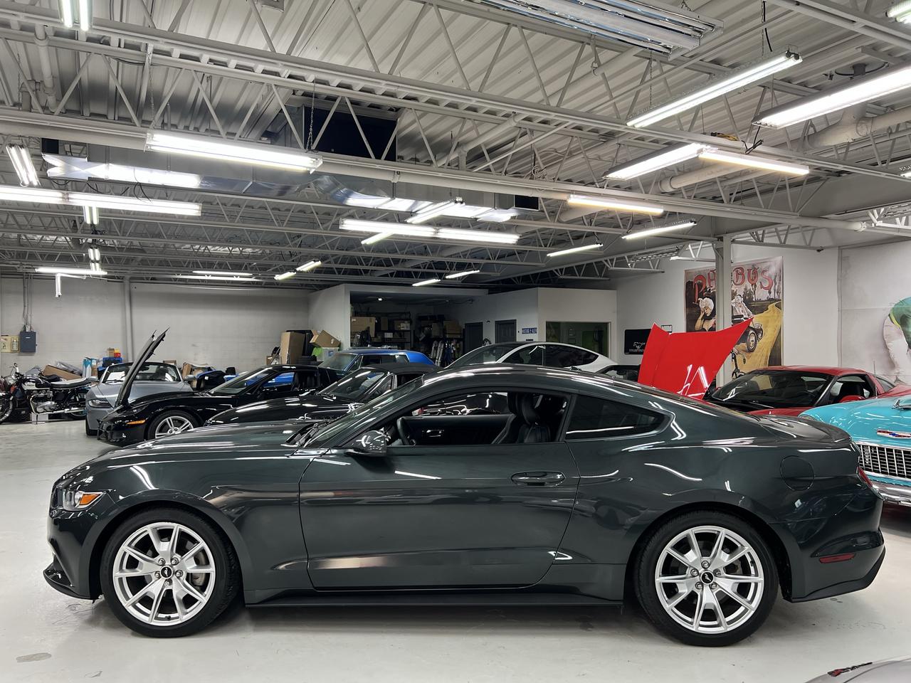 2015 Ford Mustang EcoBoost Photo