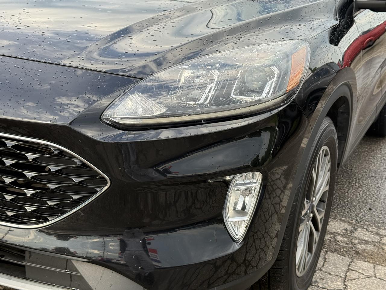 2020 Ford Escape SEL AWD Photo