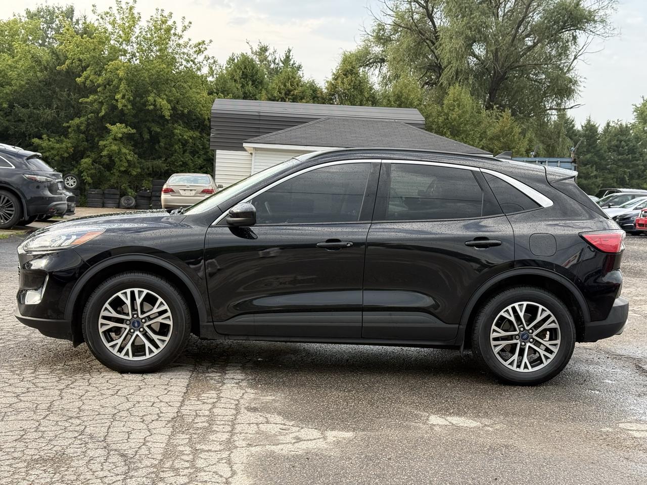 2020 Ford Escape SEL AWD Photo
