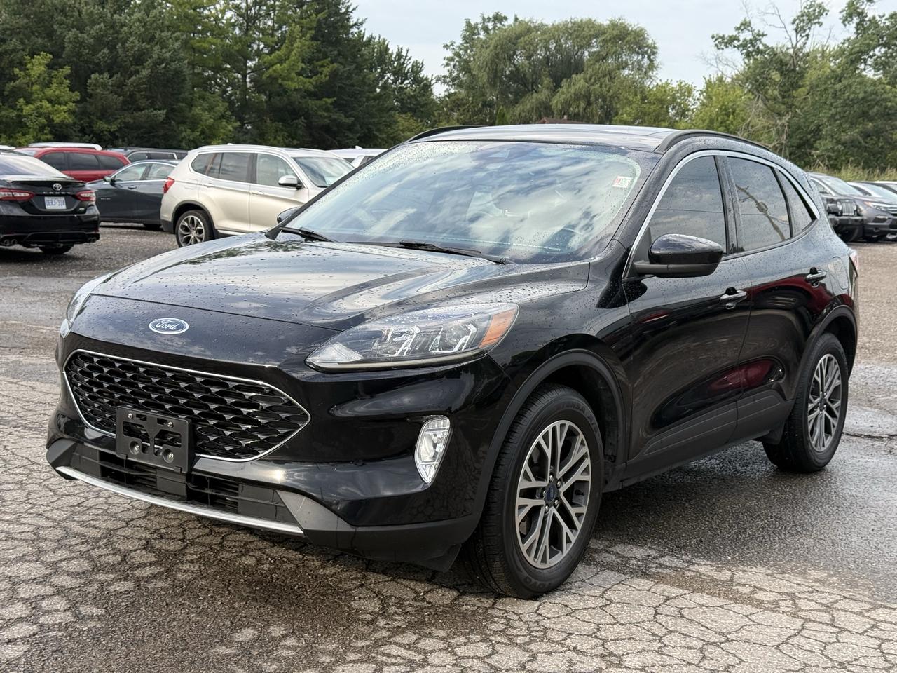 2020 Ford Escape SEL AWD Photo