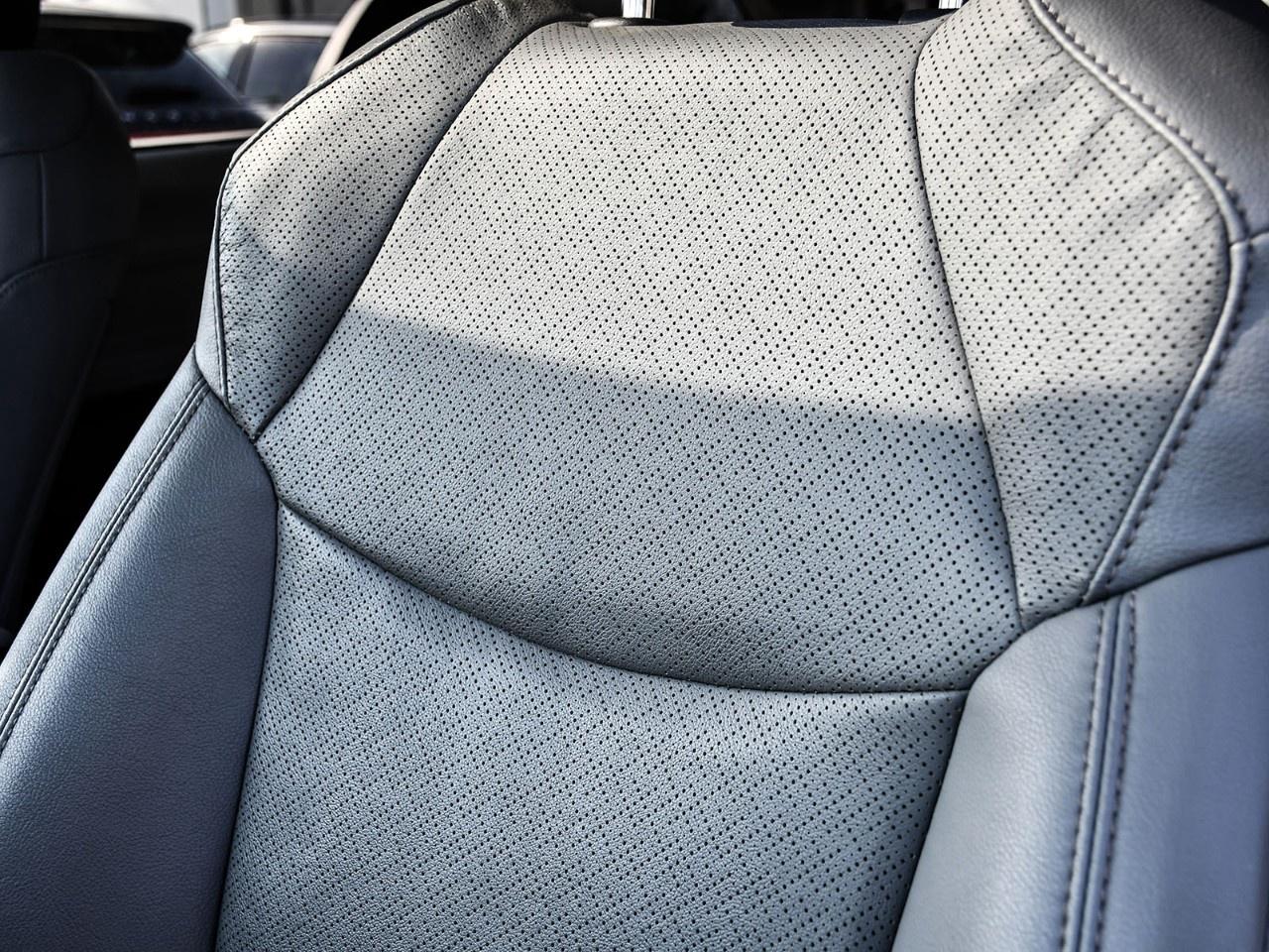 2024 Toyota Sienna LIMITED 7-Passenger AWD Photo