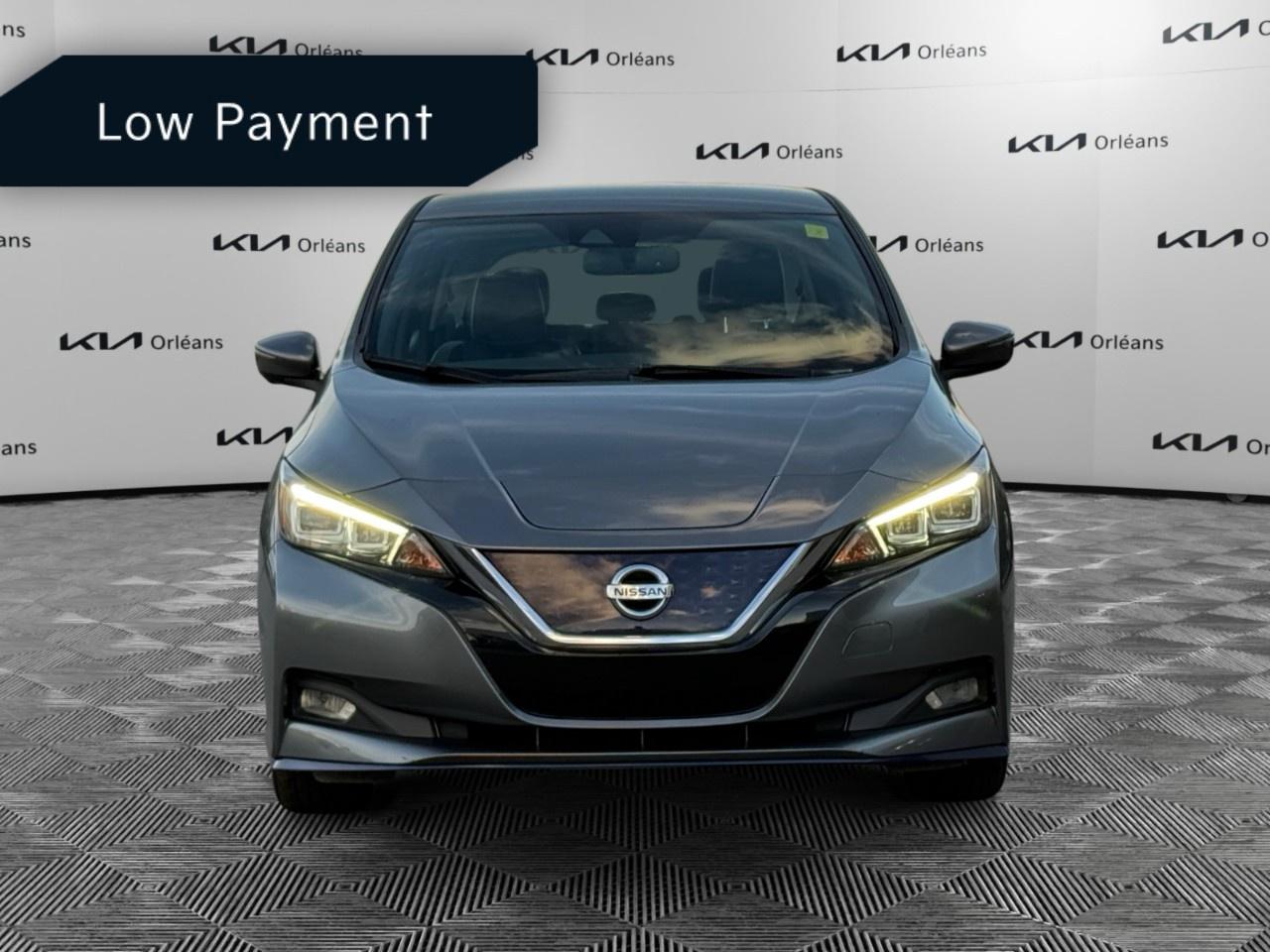 2021 Nissan Leaf SL PLUS Hatchback Photo