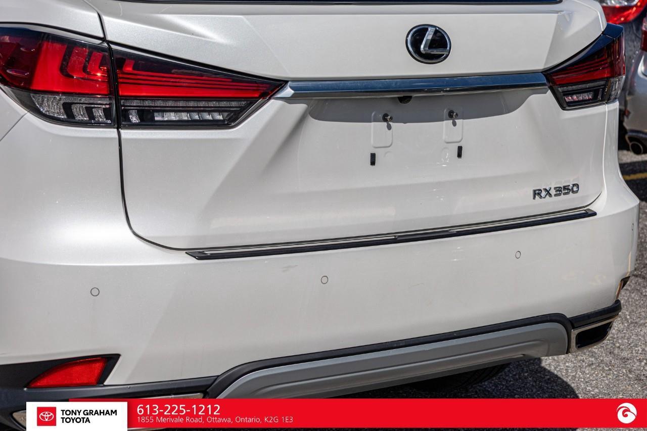 2020 Lexus RX 350  Photo