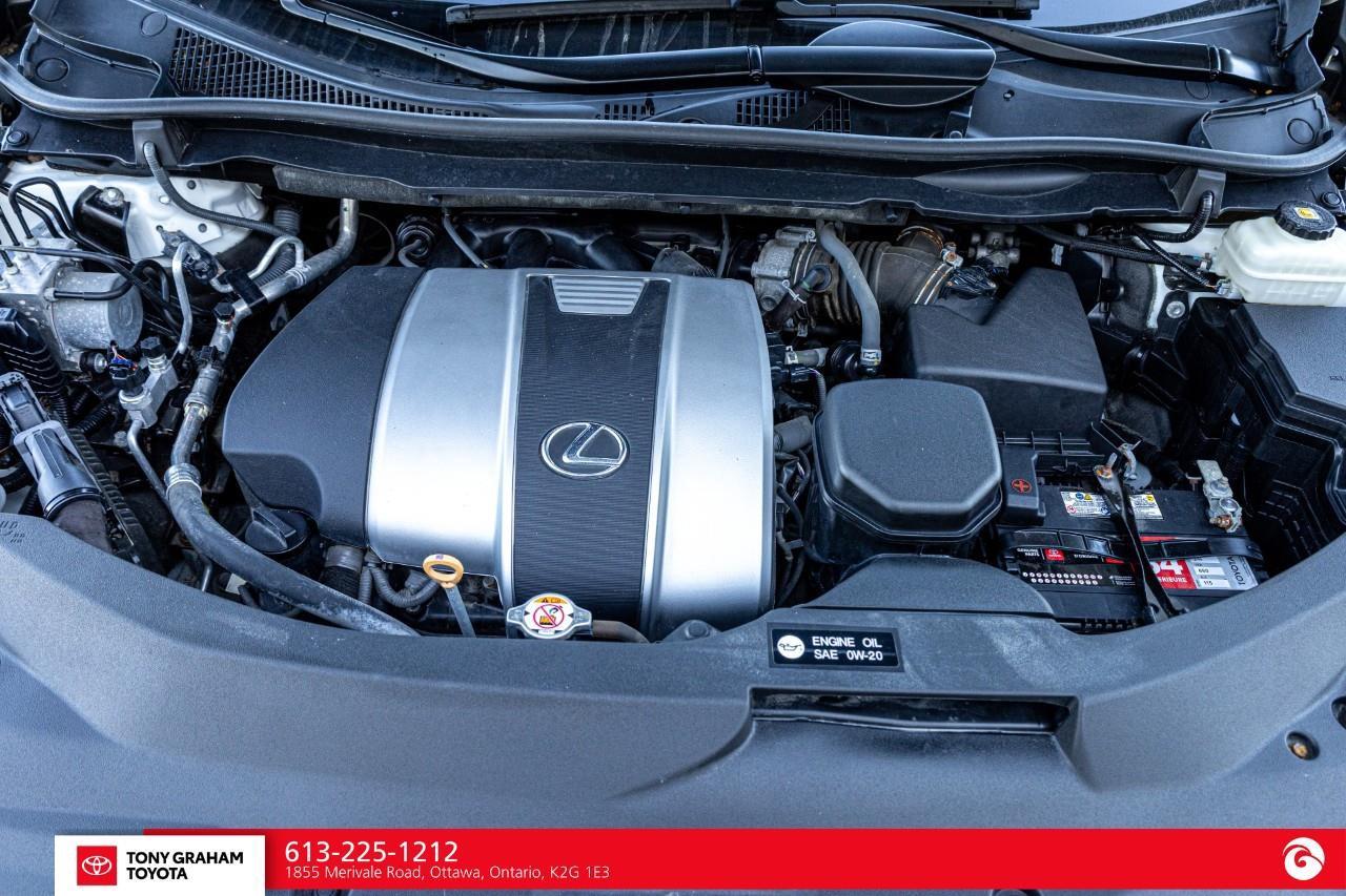 2020 Lexus RX 350  Photo