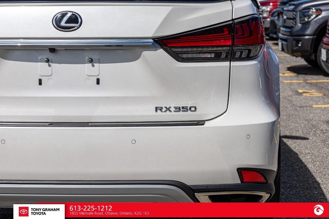 2020 Lexus RX 350  Photo