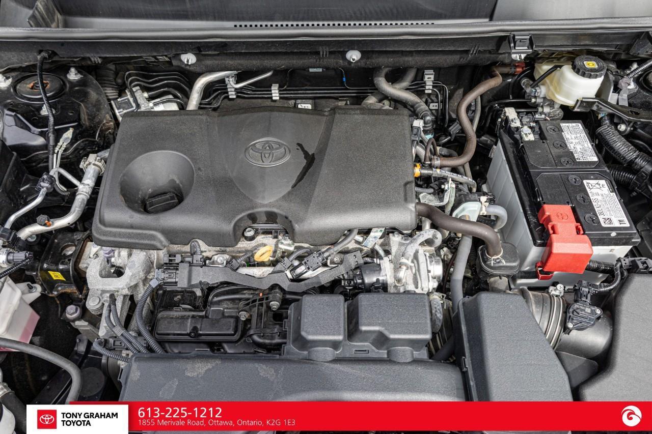 2025 Toyota RAV4 LE Photo