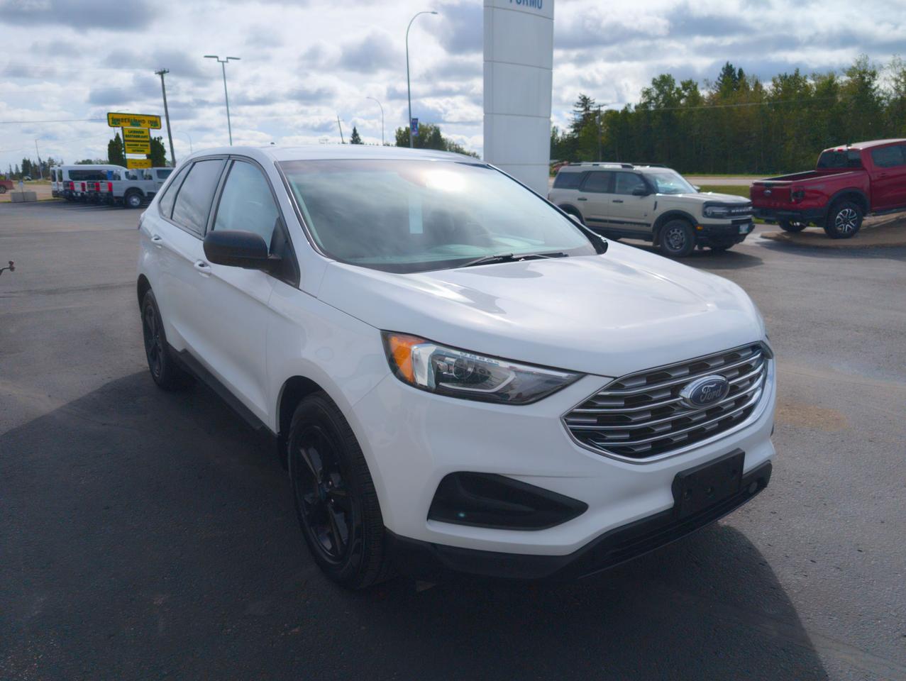 2019 Ford Edge SE Photo3