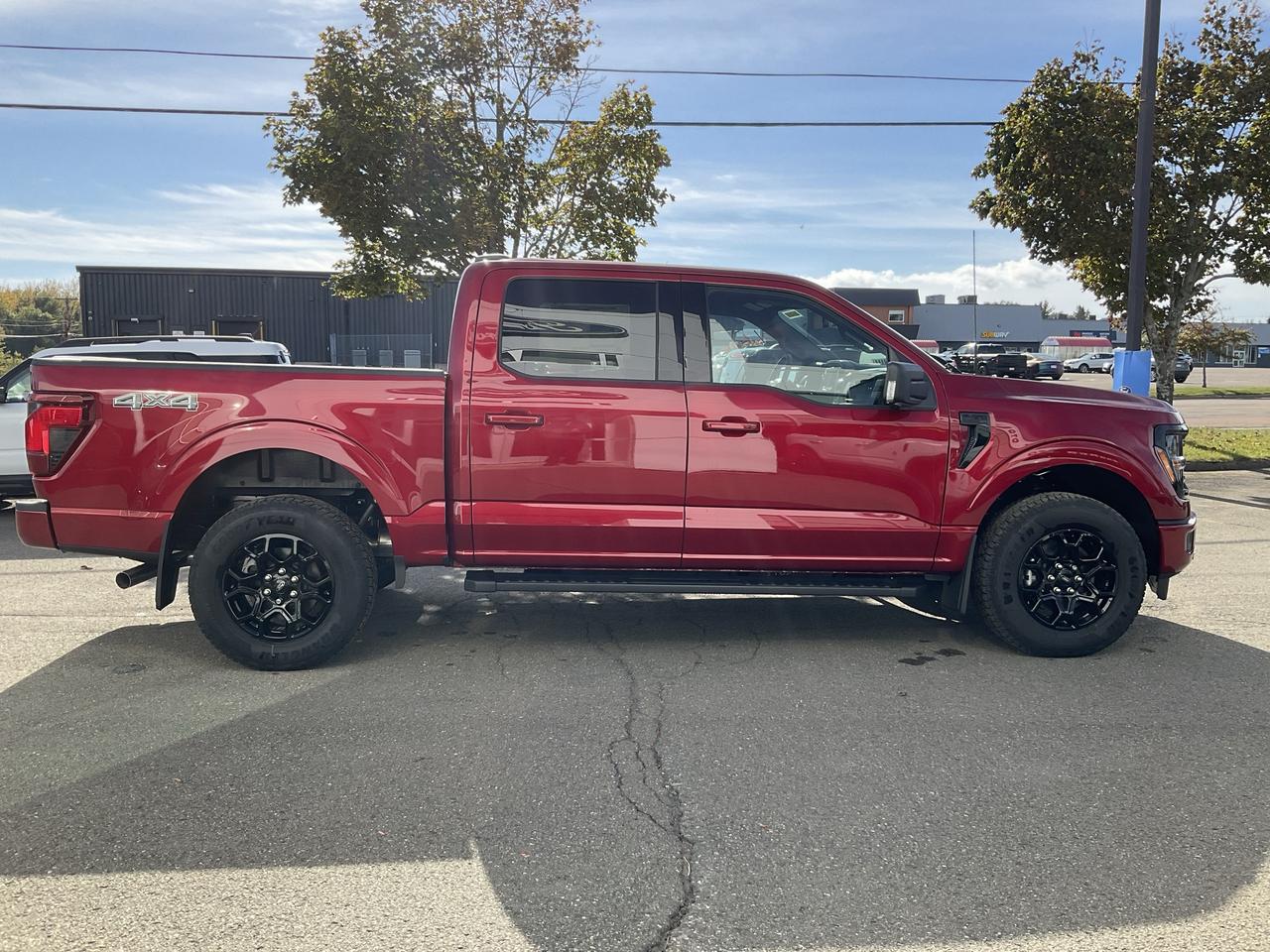2026 Ford F-150 XLT Photo4