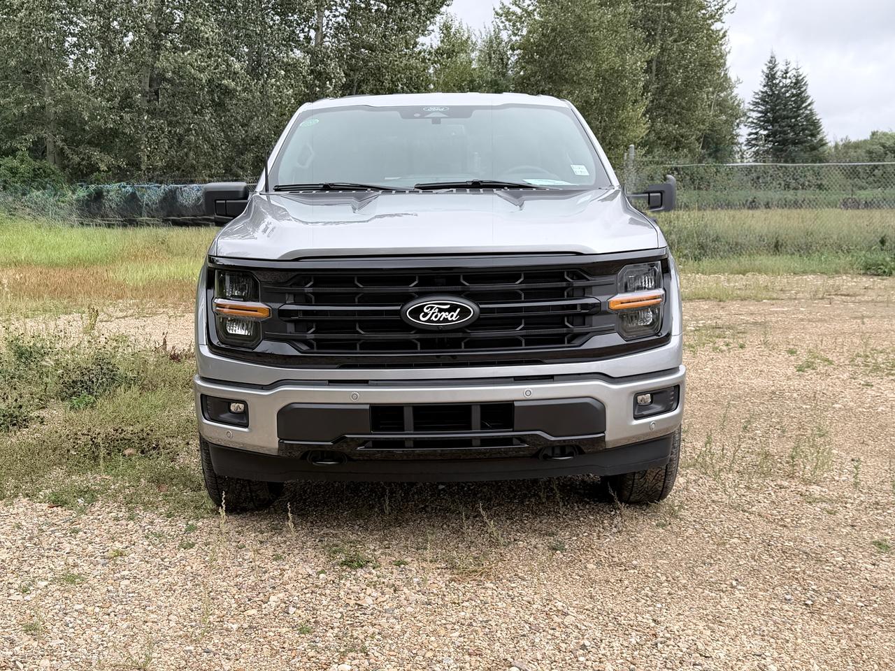 2026 Ford F-150 XLT Photo2