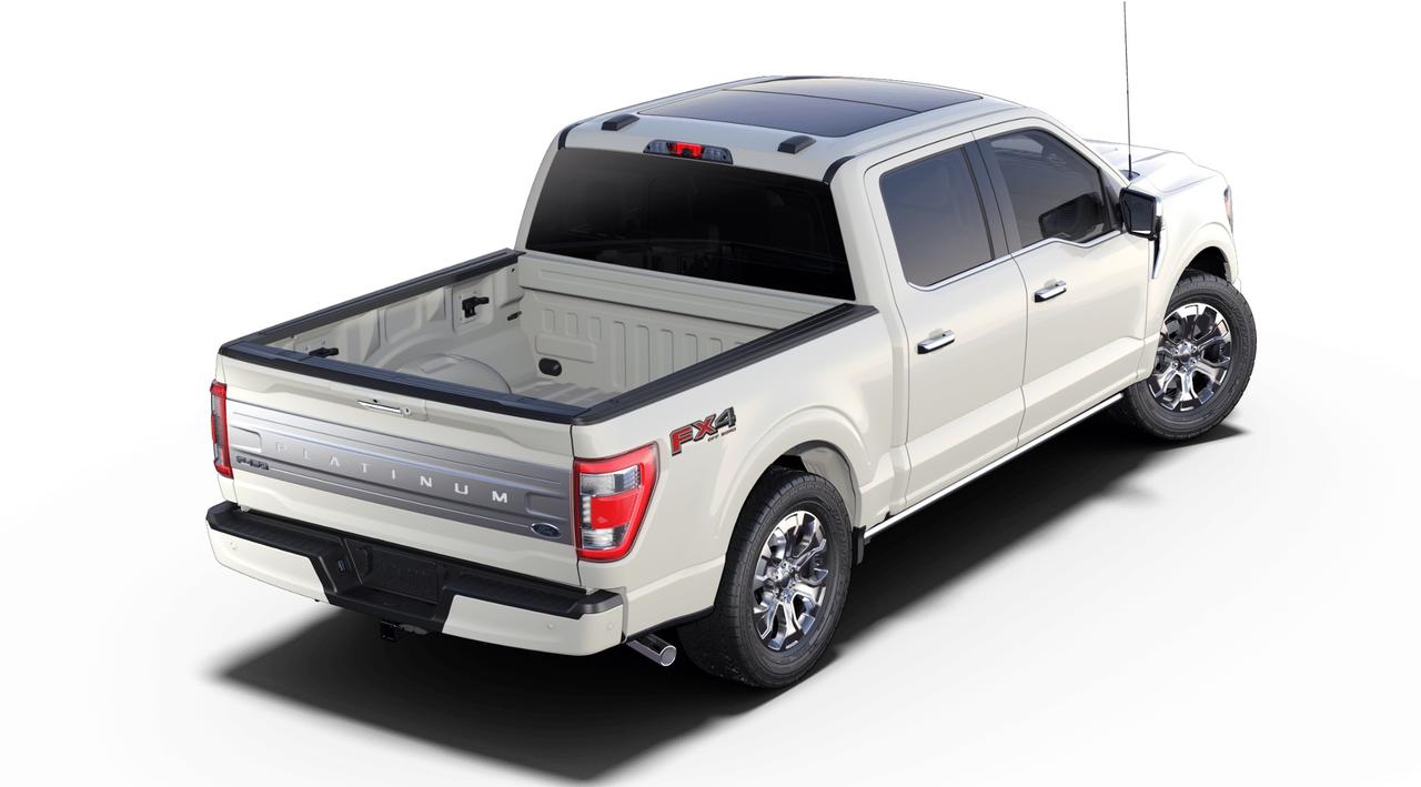 2021 Ford F-150 Supercrew 4x4 PLATINUM 3.5L ECOBOOST Photo2