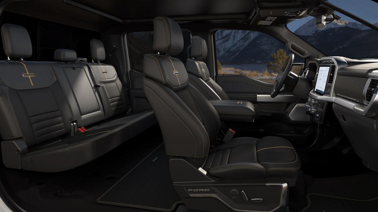 2021 Ford F-150 Supercrew 4x4 PLATINUM 3.5L ECOBOOST Photo4