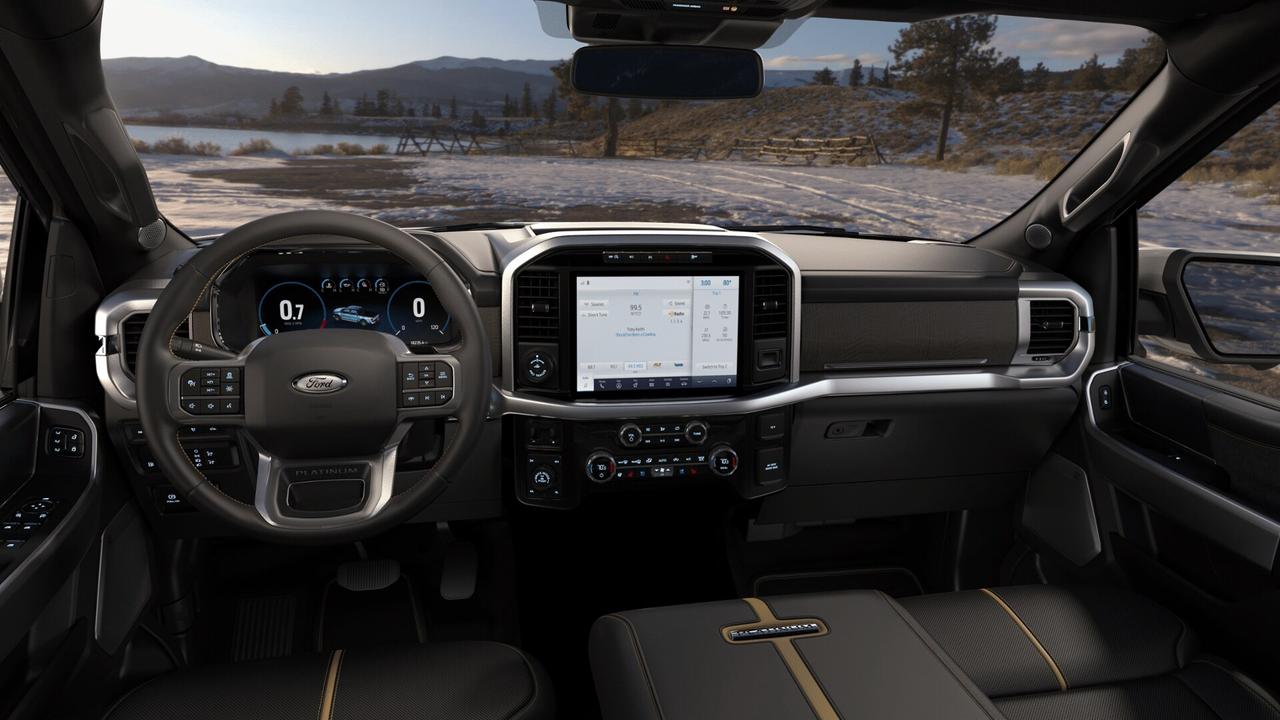 2021 Ford F-150 Supercrew 4x4 PLATINUM 3.5L ECOBOOST Photo5