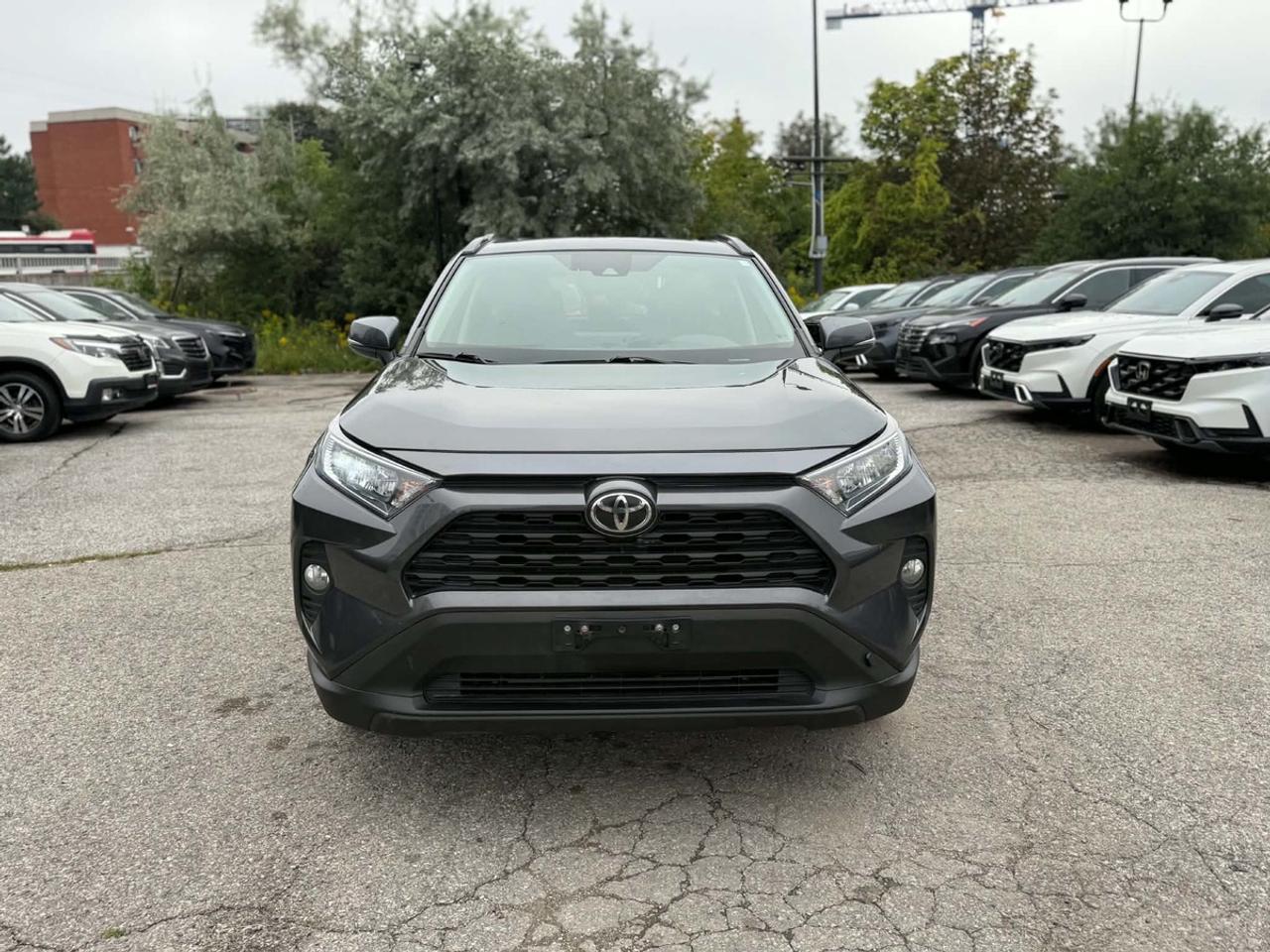 2020 Toyota RAV4 XLE Photo