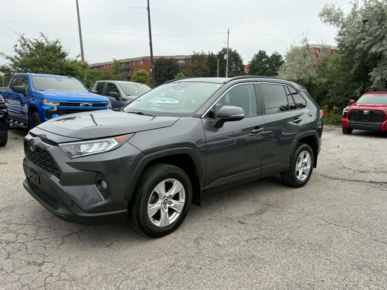 2020 Toyota RAV4 XLE Photo
