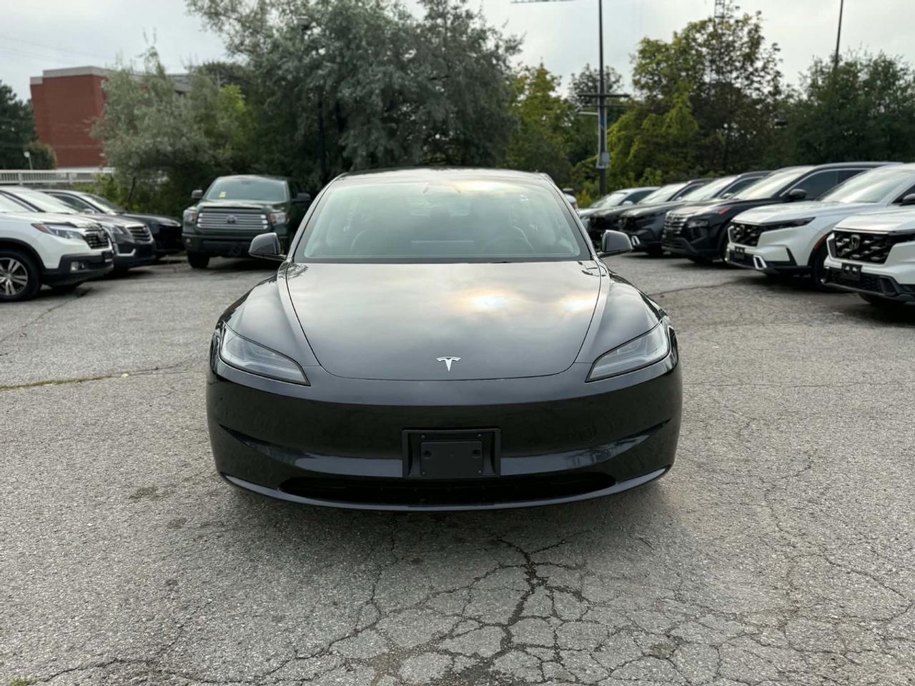 2025 Tesla Model 3 Long Range AWD Photo