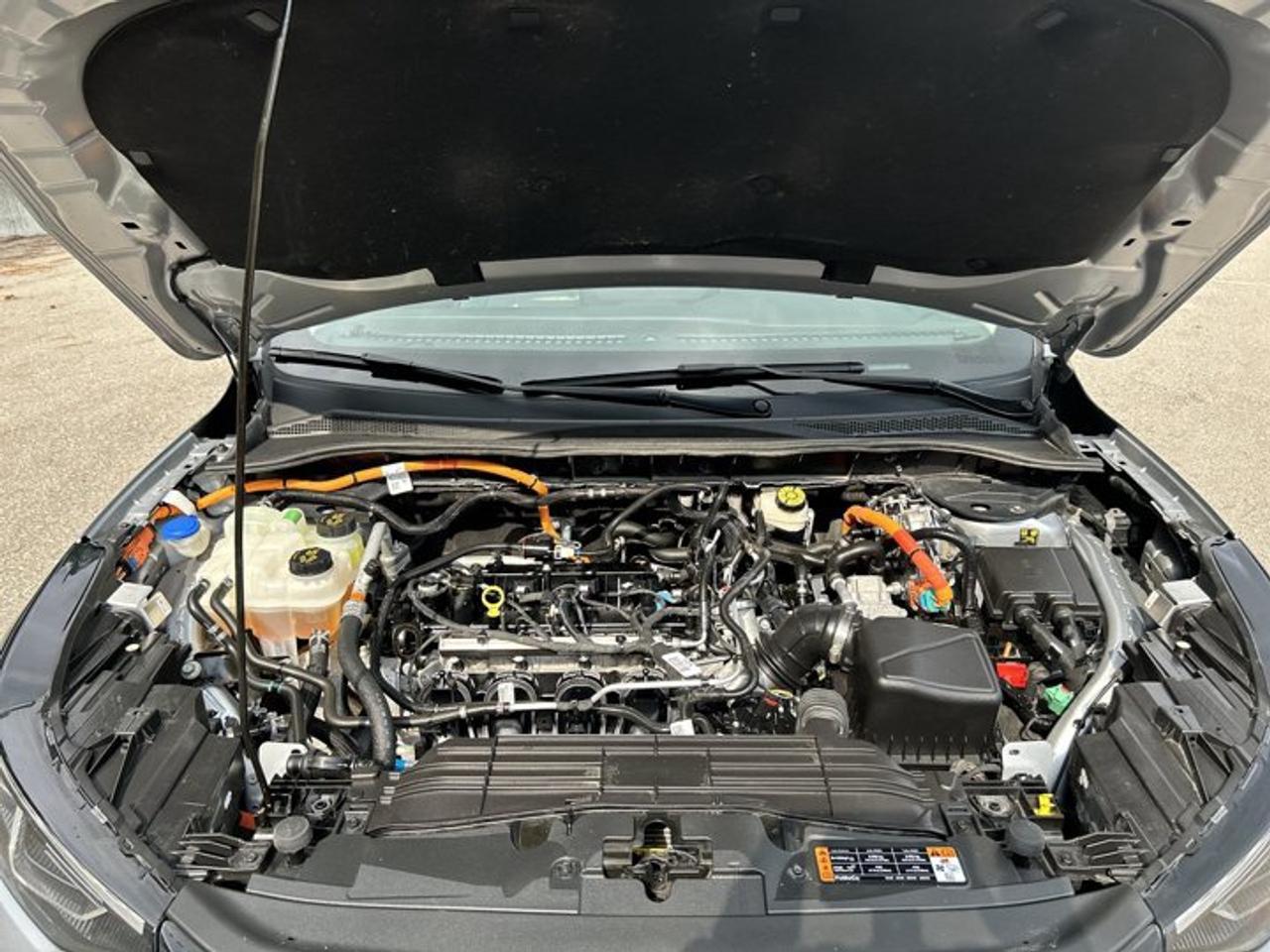 2023 Ford Escape Platinum AWD | No Accidents | Leather Seats Photo