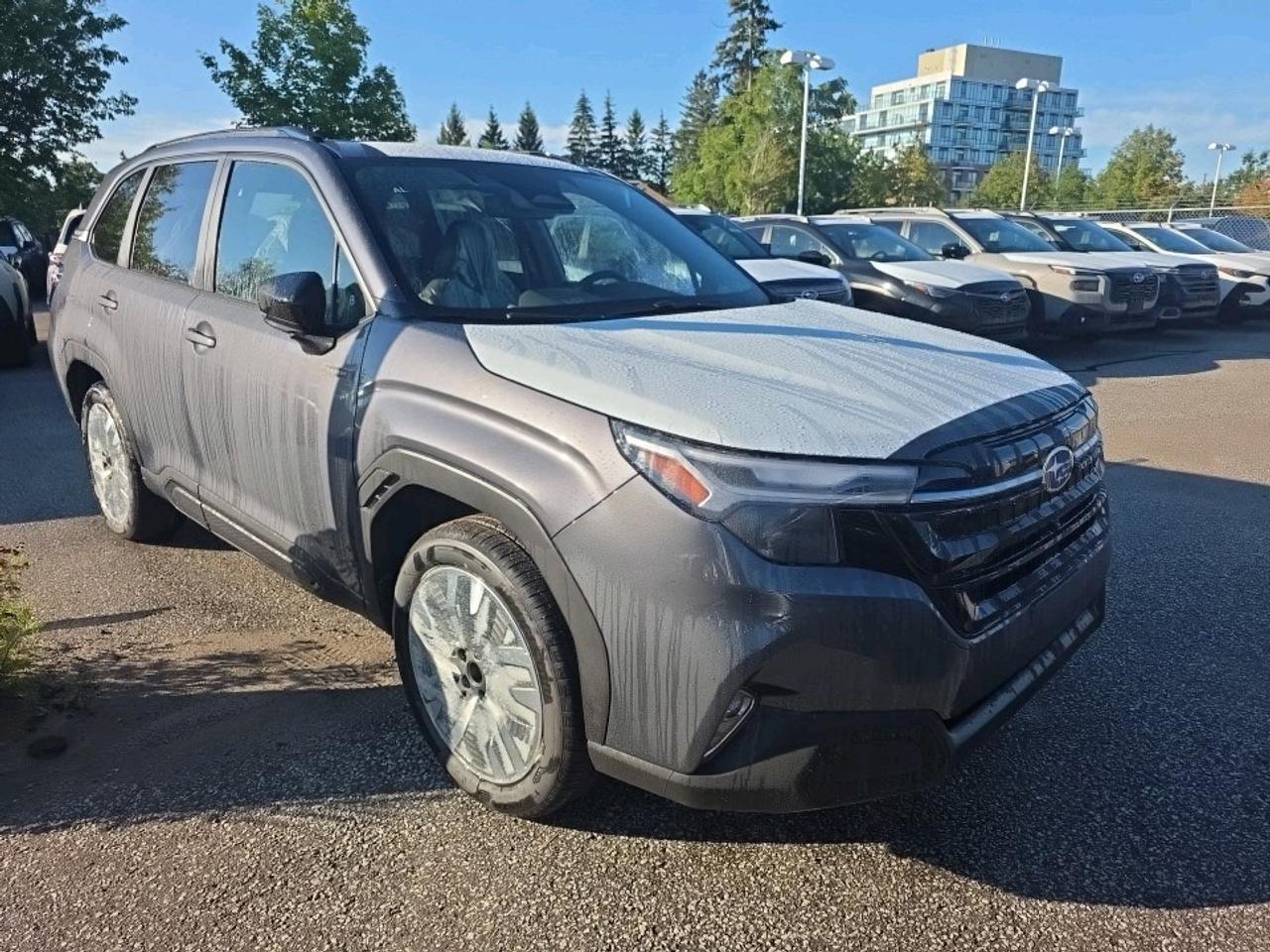 2026 Subaru Forester Premier Photo