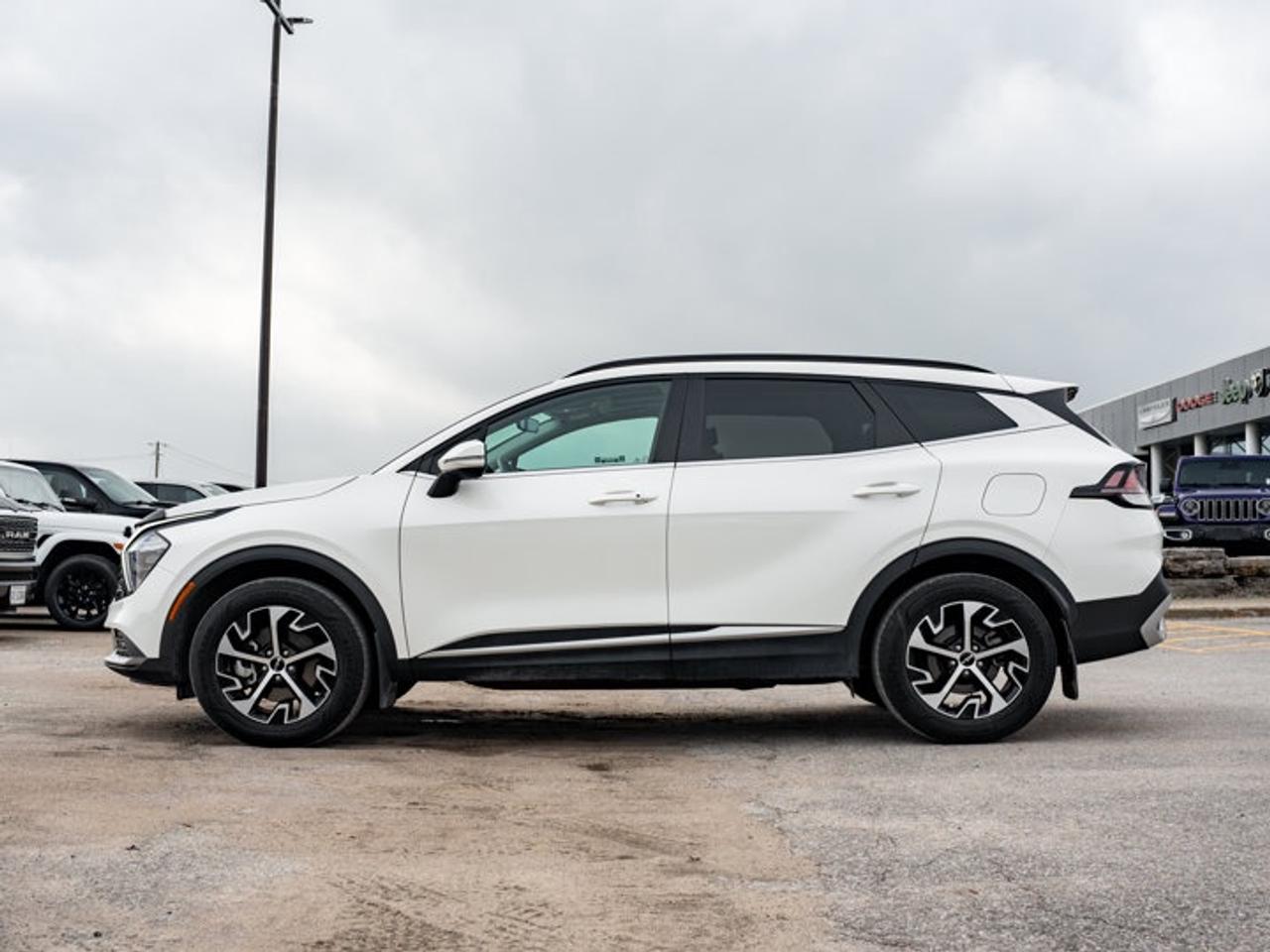 2025 Kia Sportage EX Photo