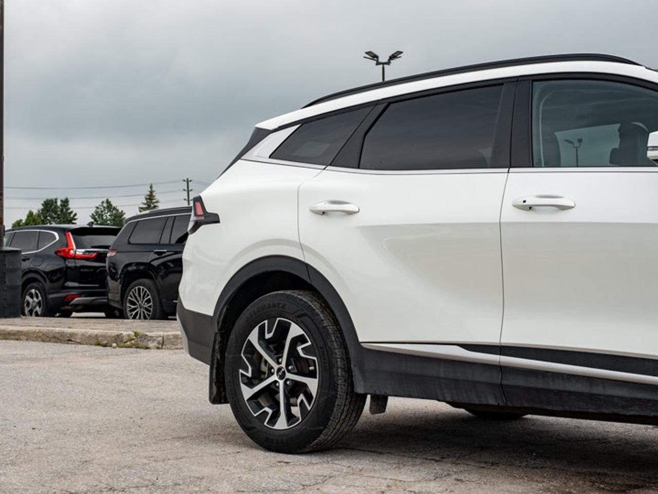 2025 Kia Sportage EX Photo