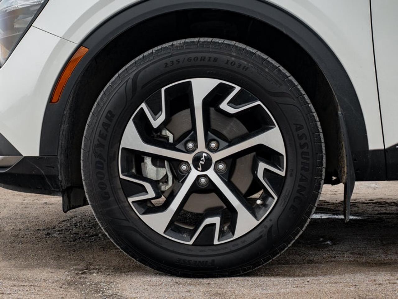 2025 Kia Sportage EX Photo