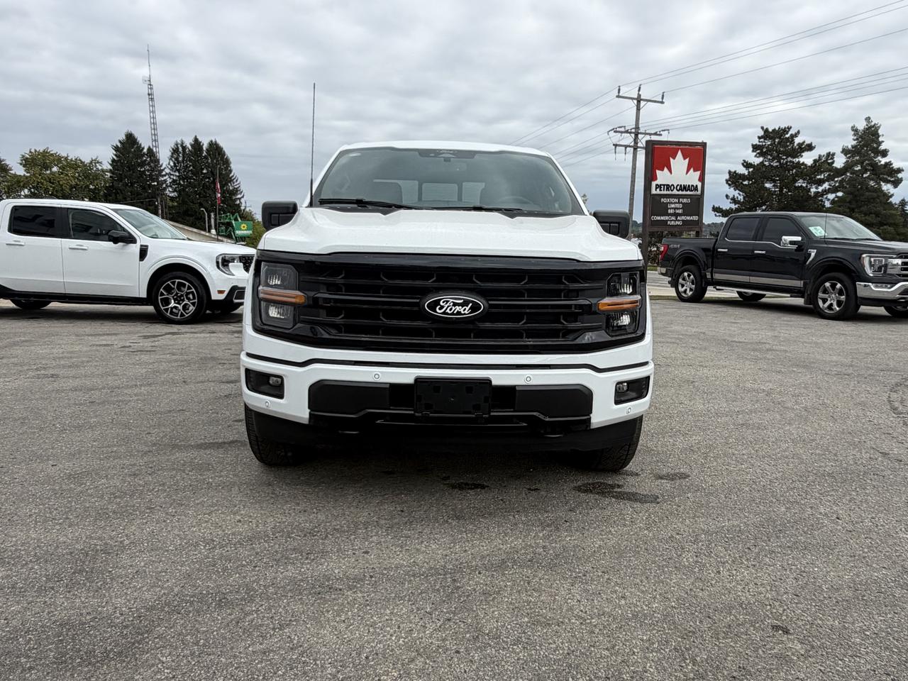 2026 Ford F-150 XLT SuperCrew 303A 4x4 Photo1