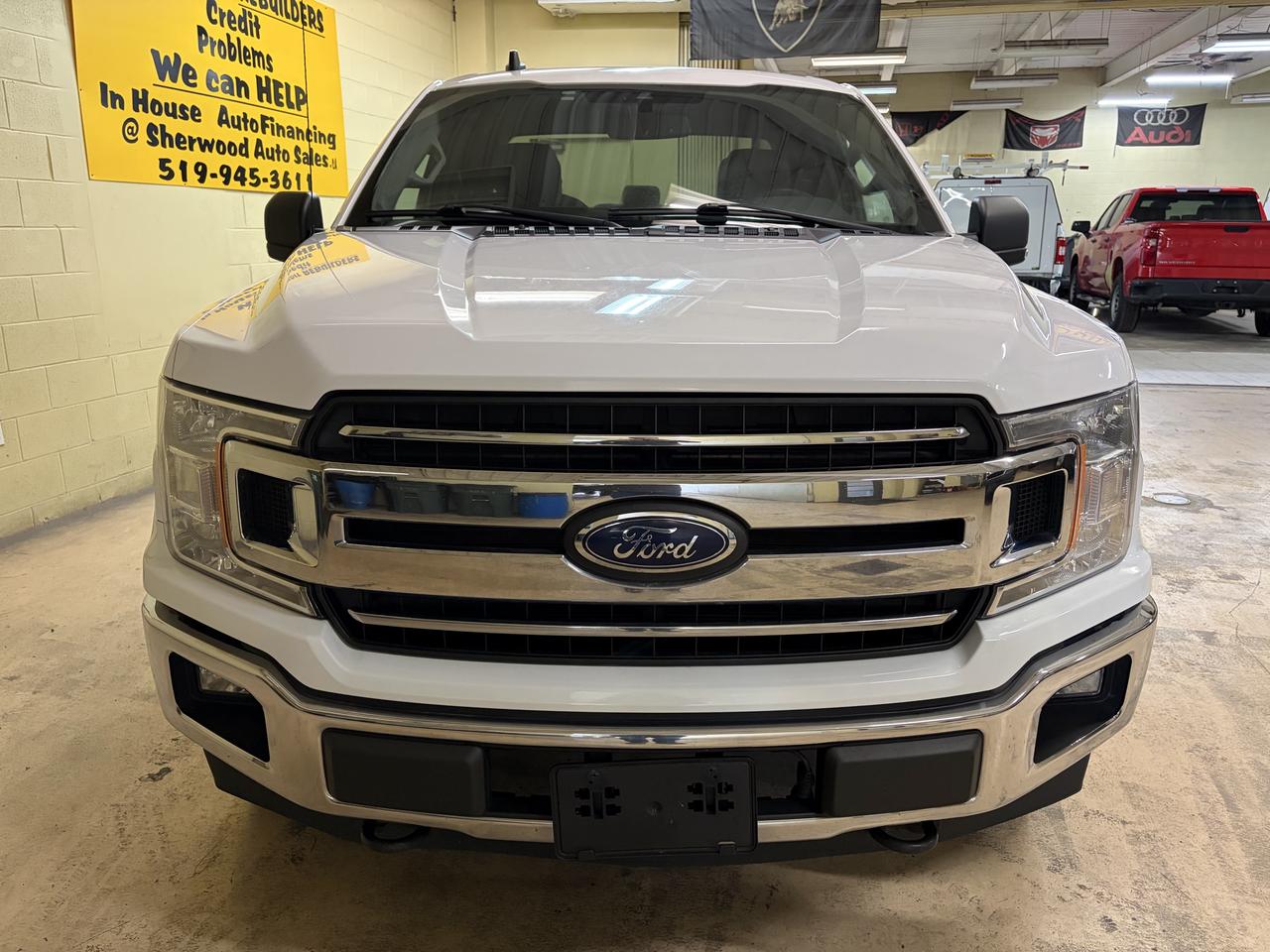 2019 Ford F-150 XLT Photo