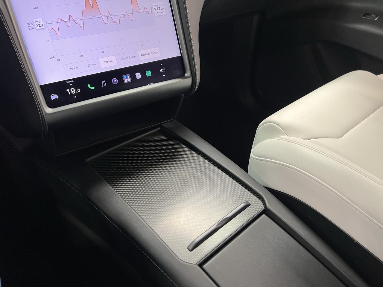 2019 Tesla Model X Performance Photo