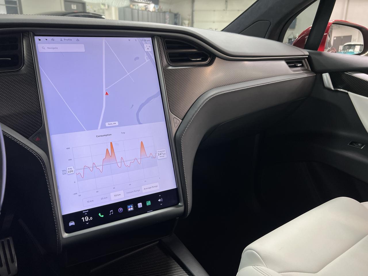 2019 Tesla Model X Performance Photo