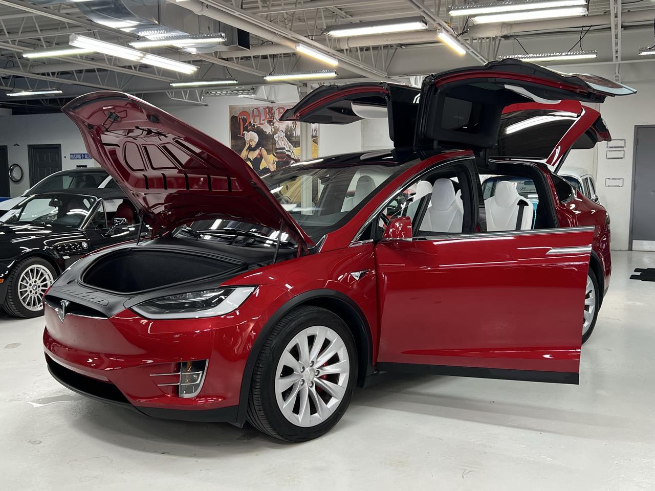 2019 Tesla Model X Performance Photo