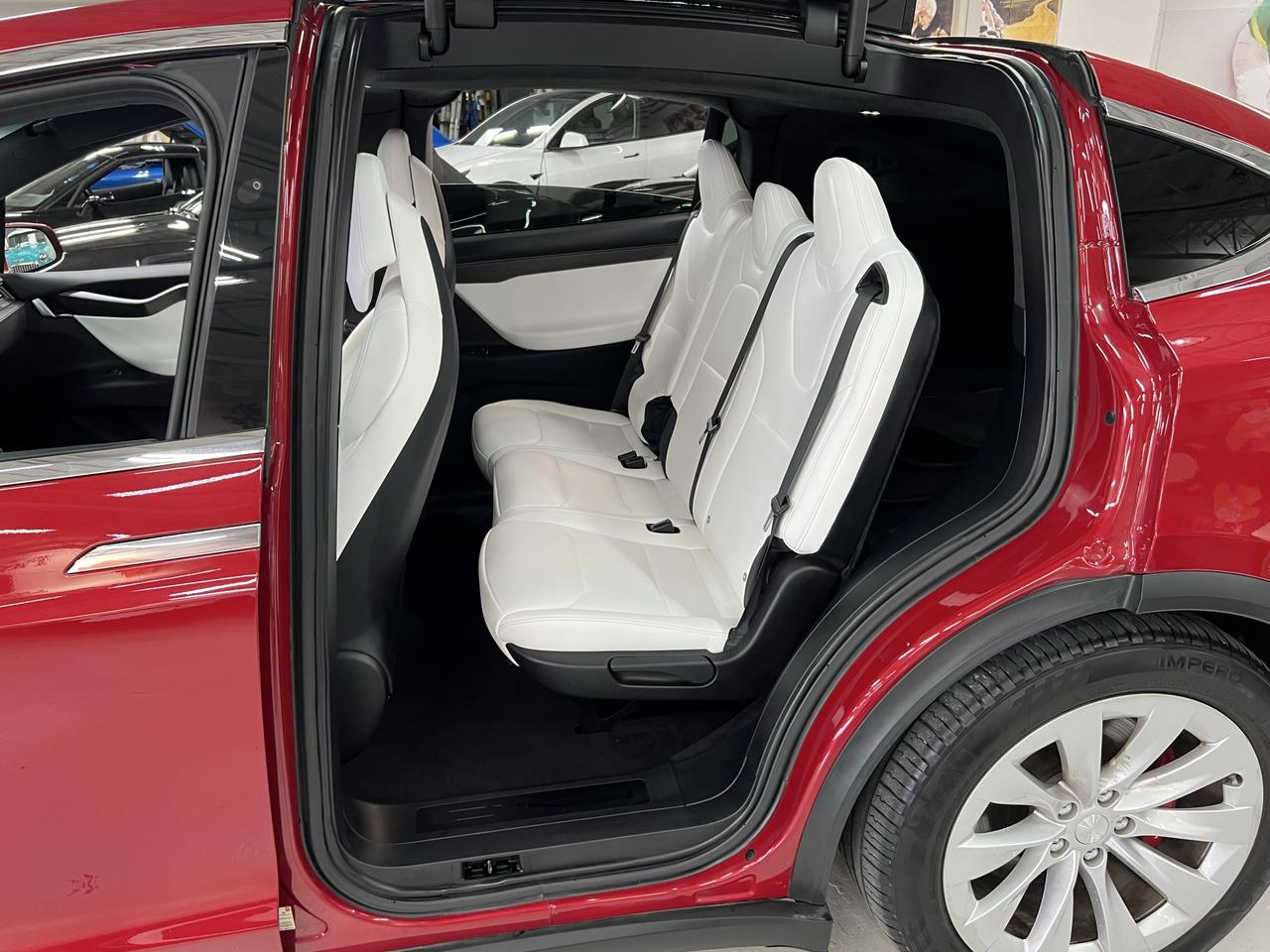 2019 Tesla Model X Performance Photo