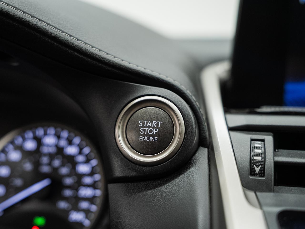 2019 Lexus NX 300 AWD | Sunroof | Leather | ACC | BSM | CarPlay Photo