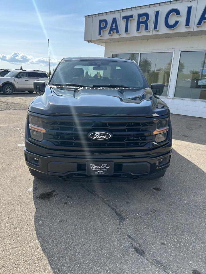 2024 Ford F-150 XLT Photo2