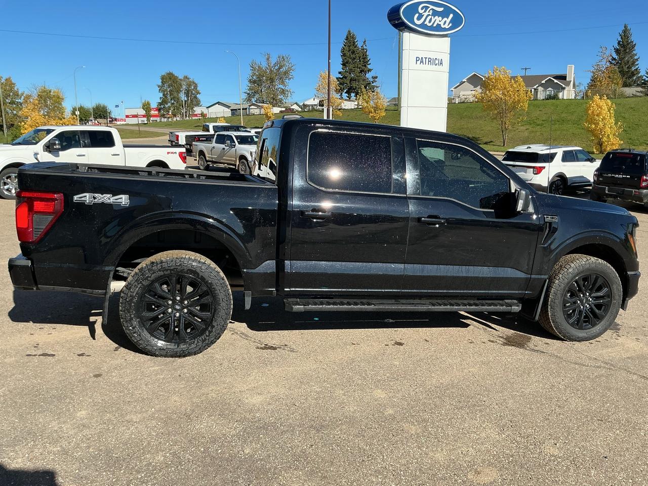 2024 Ford F-150 XLT Photo3
