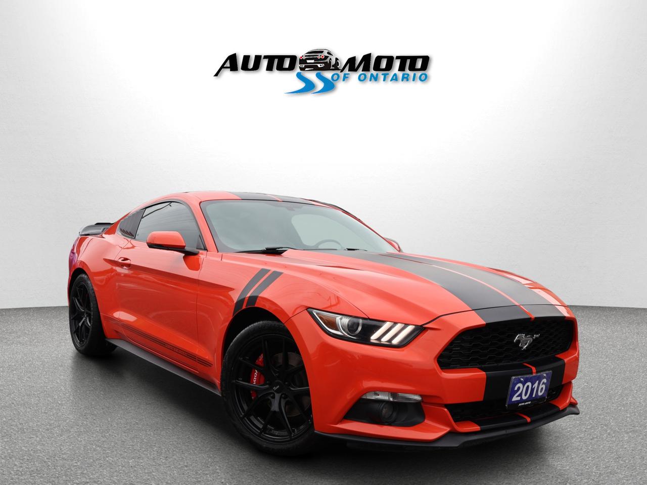 2016 Ford Mustang ECOBOOST *ACCIDENT FREE* CAMERA BLUETOOTH LEATHER HEATED SEATS CRUISE ALLOYS - Photo #1